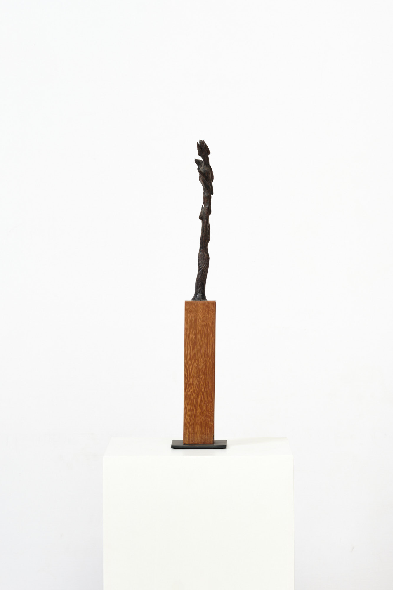 Michael Roderick Wedderburn Sculpture